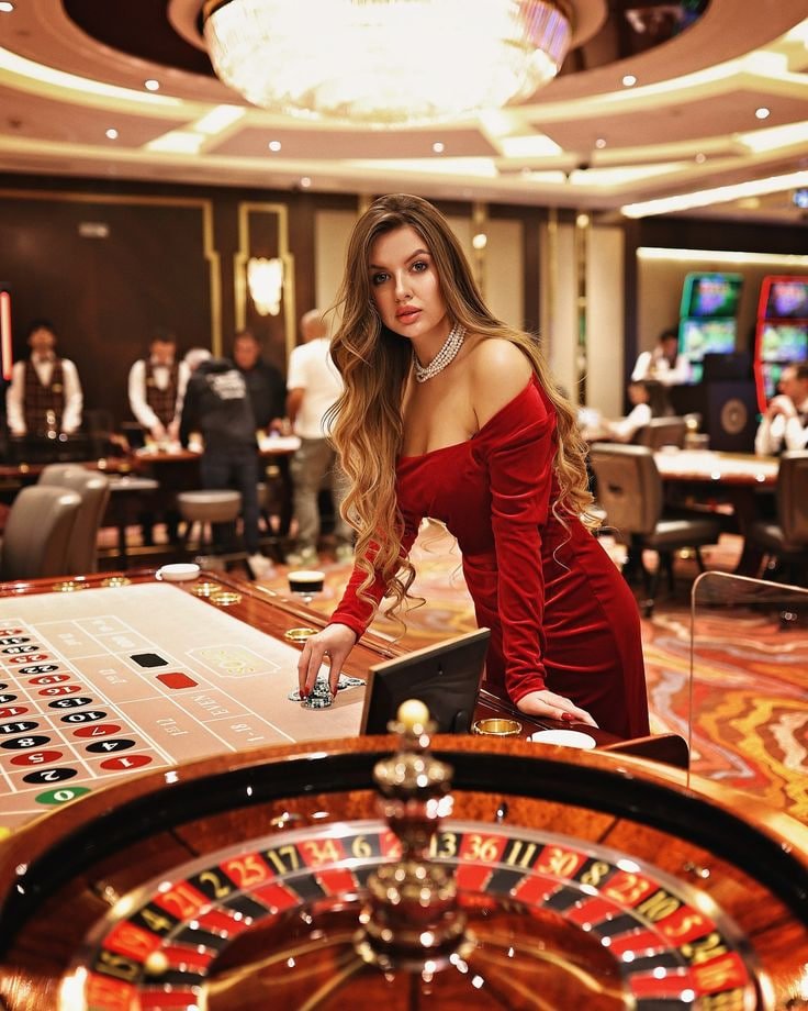 5008bet